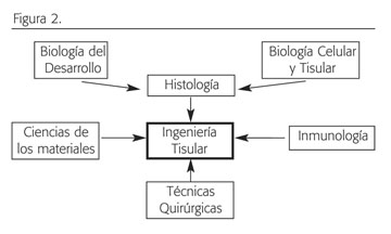 Relacion de histologia con otras ciencias
