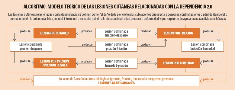 Modelo teórico y marcos conceptuales de las lesiones por presión y