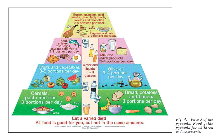 6 food groups pyramid. the same food group shown