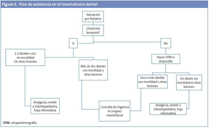 Figura 2. Plan de asistencia en el traumatismo dental