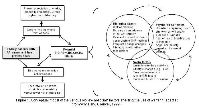 Use Biopsychosocial Approach In A Sentence