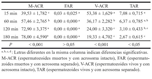 Tabla 4. Influencia del tiempo en las categorías espermáticas de la DS en los sementales de silla. Comparación anova y duncan. Medias ± SEM.