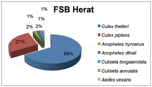 Distribución por especies en la FSB de Herat.
