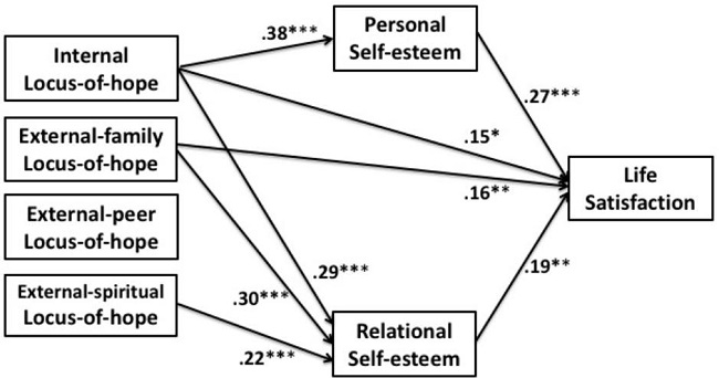Hope and satisfaction with life: testing the mediating roles of self ...