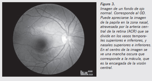 Guía para valoración de lesiones oculares en la práctica forense