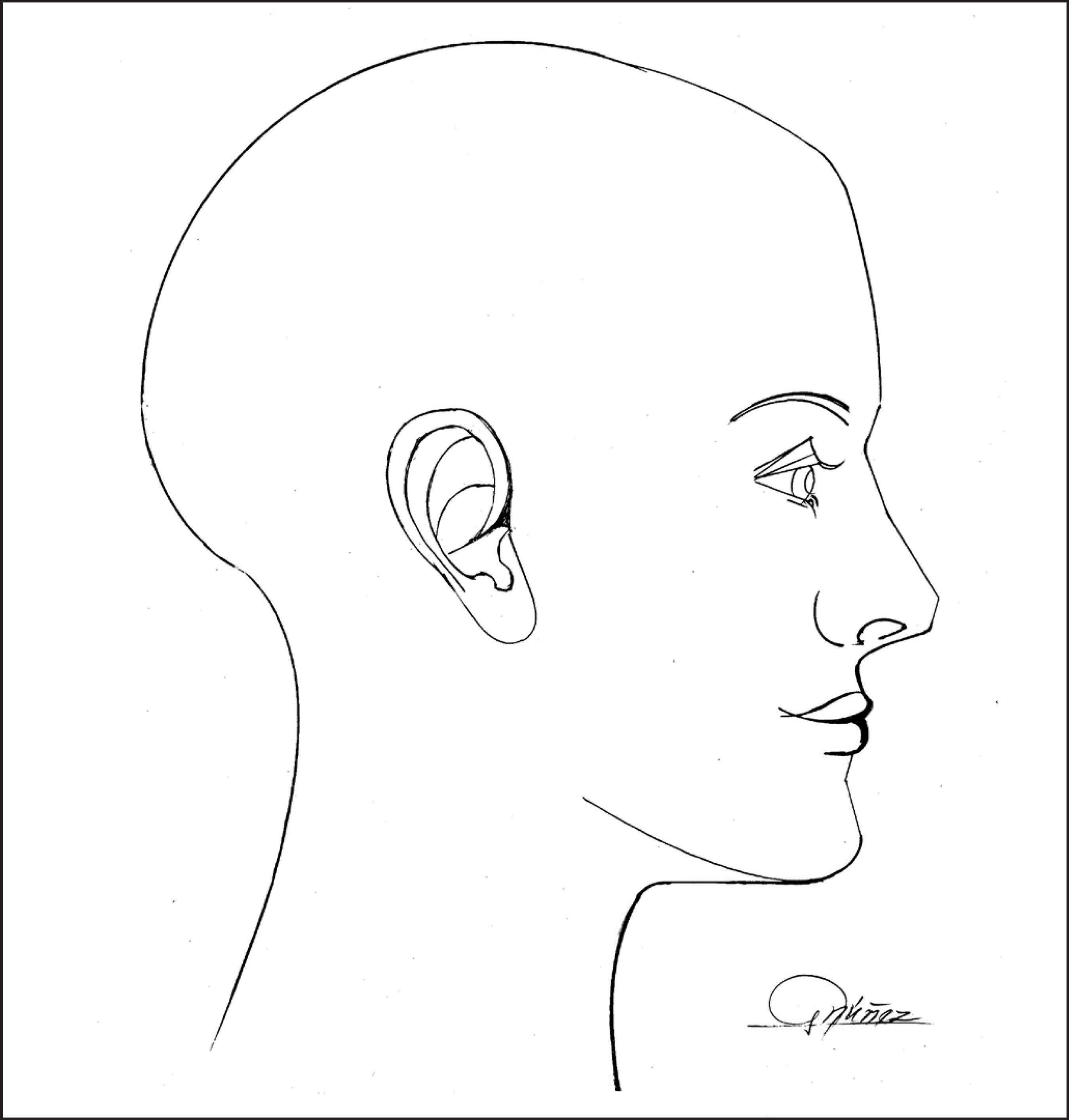 Perfilografía áurea: estética de las proporciones nasales y faciales