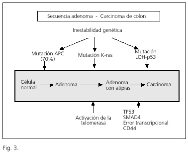 Panel cancer de colon - 19 gene