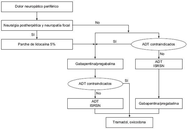 polineuropatia diabetica pdf automata inzulinadagoló