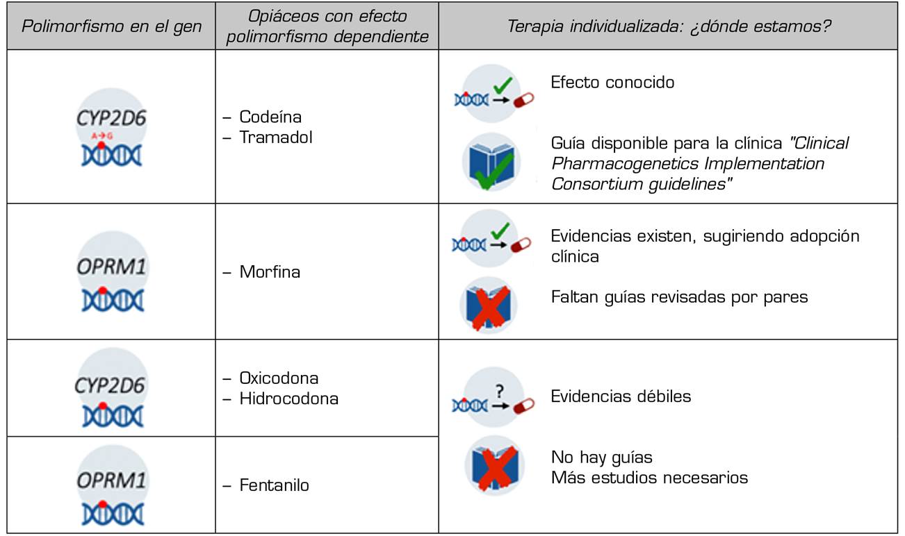 Farmacogenética y respuesta analgésica: hacia una medicina ...