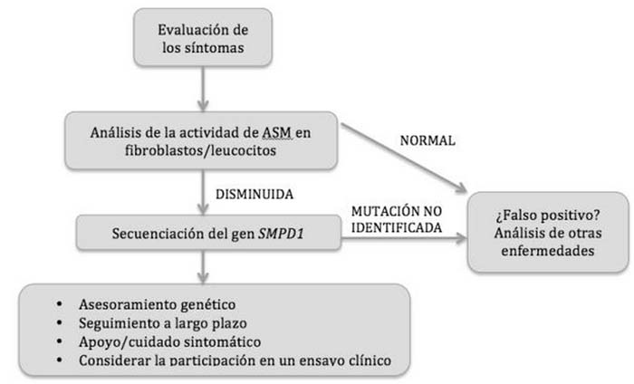 Enfermedad de Niemann-Pick - Wikipedia, la enciclopedia libre