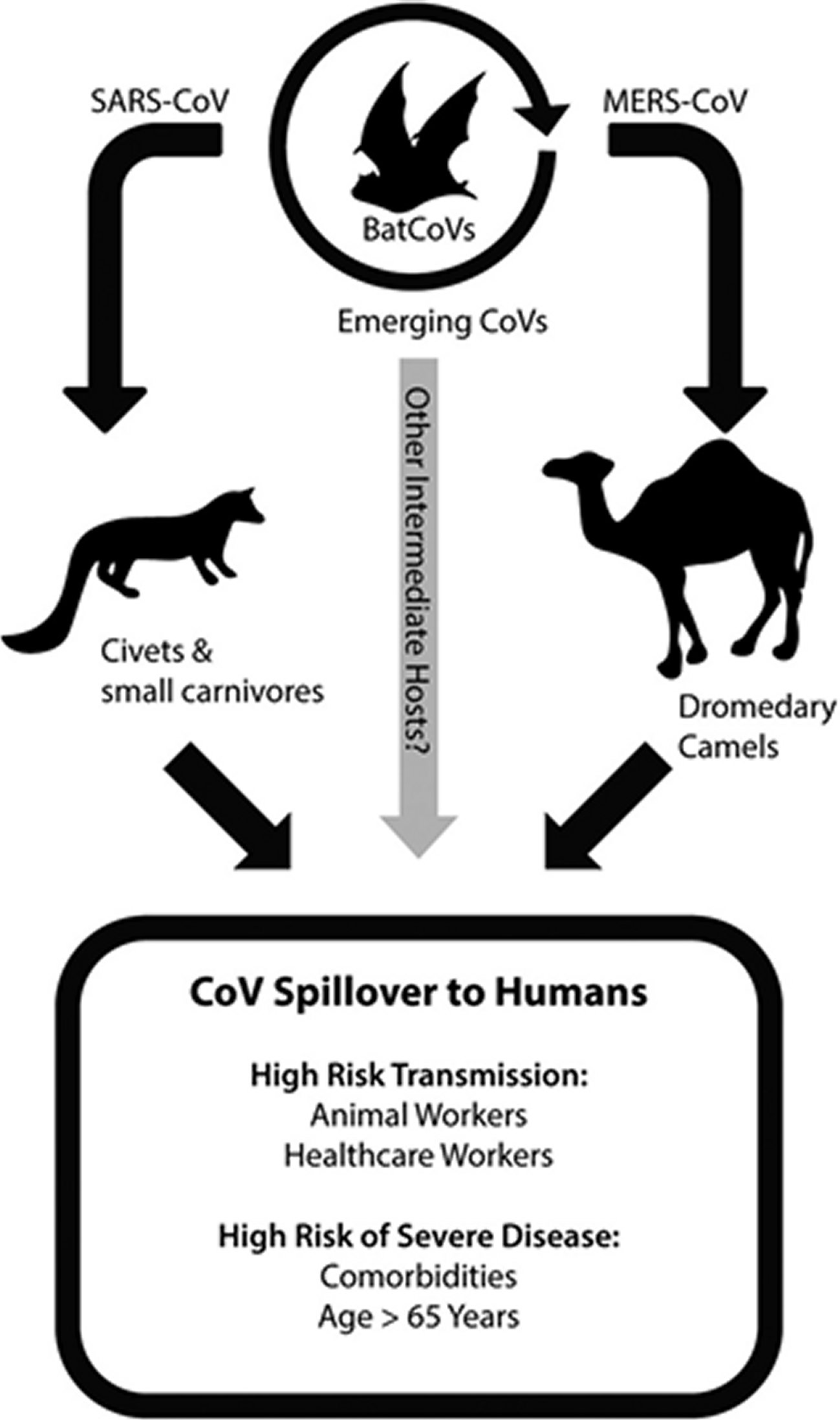 A comprehensive review on epidemiology, aetiopathogenesis, diagnosis ...