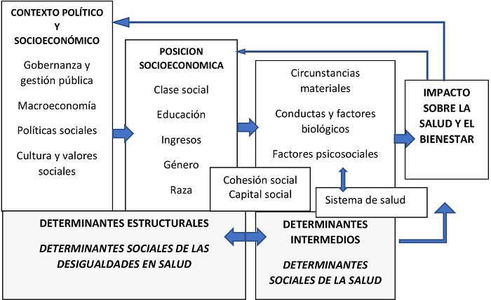 Las Dimensiones De La Salud