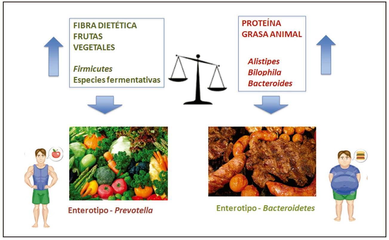 Importancia de los cereales integrales en la microbiota intestinal - Yakult