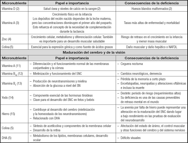 Joaquin Puerma Ruiz - Micronutrientes necesarios durante el