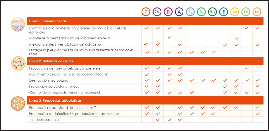 Inmunonutrición y (su impacto en la) salud. Micronutrientes y factores ...