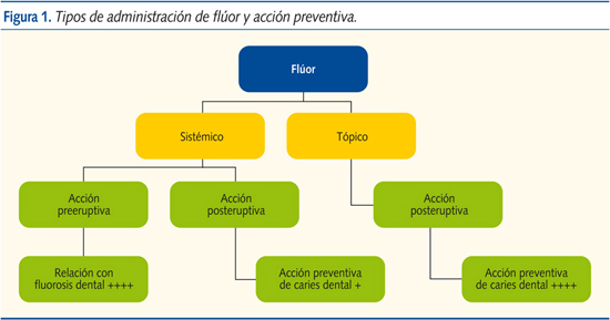 Figura 1. Tipos de administración de flúor y acción preventiva