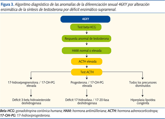 Figura 3. Algoritmo diagnóstico de las anomalías de la diferenciación sexual 46XY por alteración enzimática de la síntesis de testosterona por déficit enzimático suprarrenal.