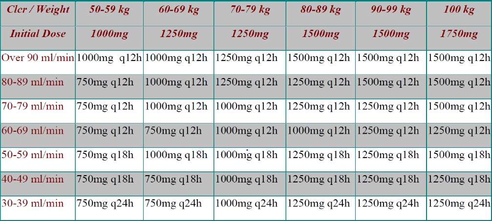 Evaluation of traditional initial vancomycin dosing versus utilizing an ...