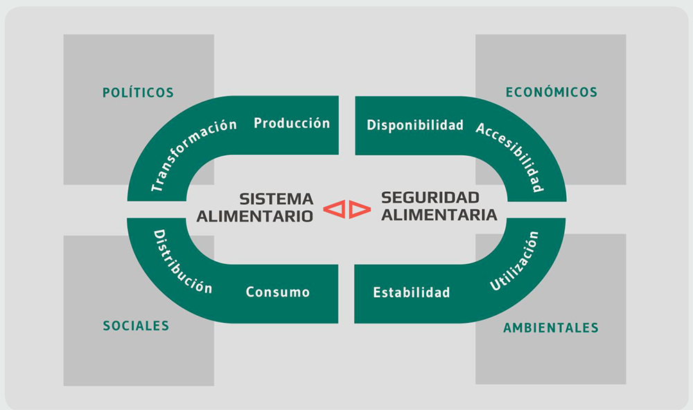 Sistemas Alimentarios Sostenibles Para Una Alimentación Saludable