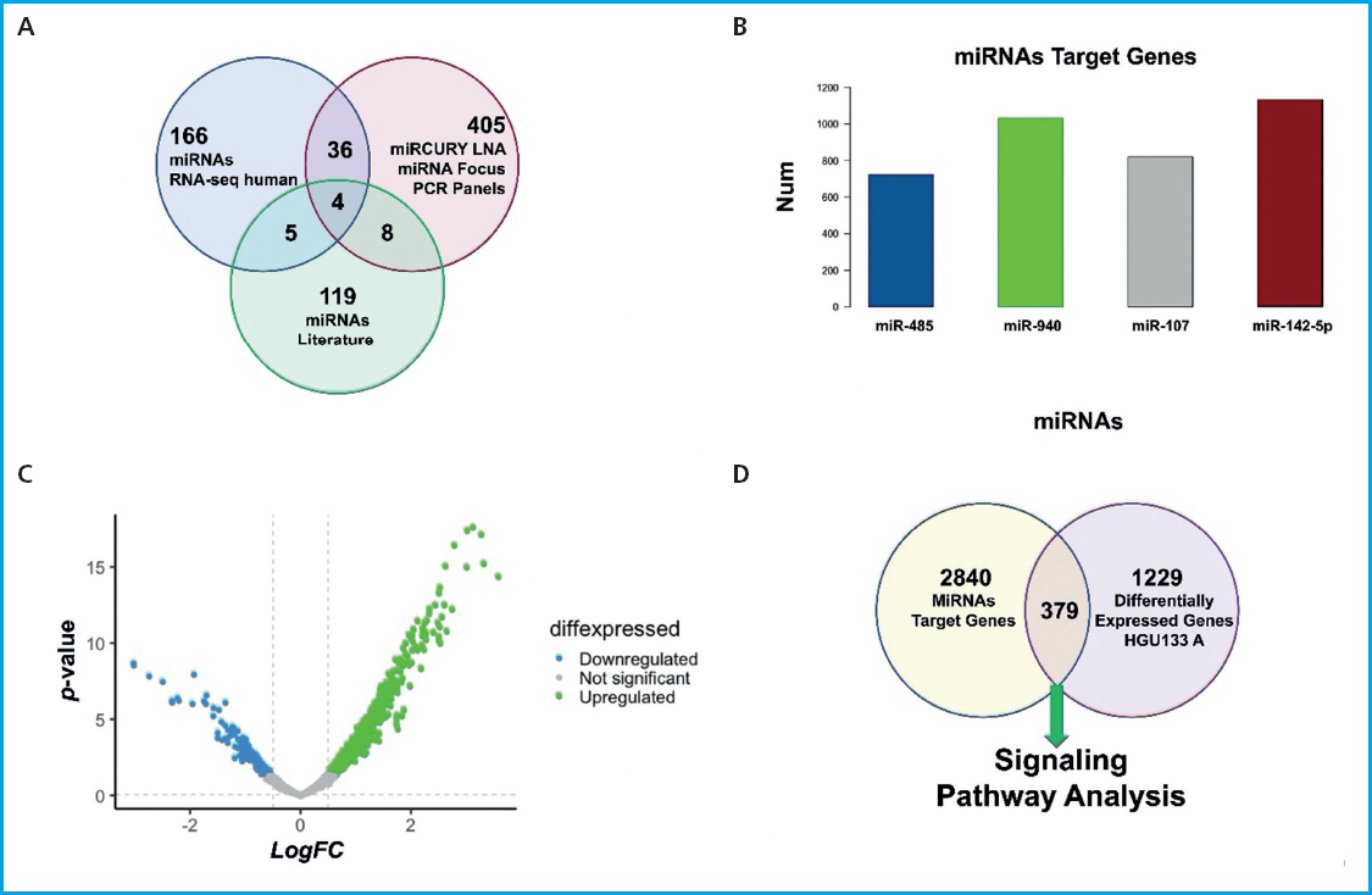 Identification in silico of miRNAs and their targets involved in the ...