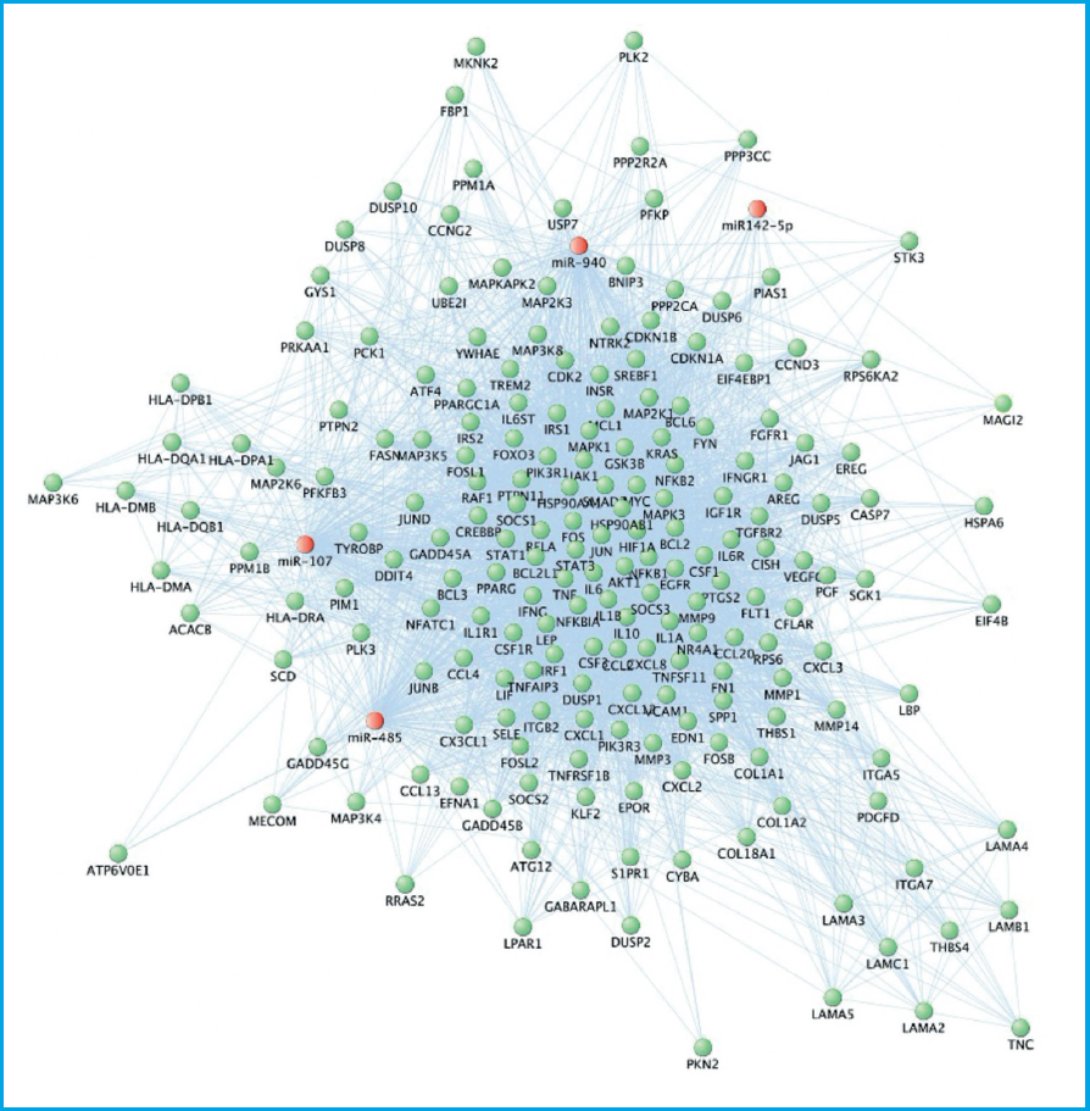 Identification in silico of miRNAs and their targets involved in the ...